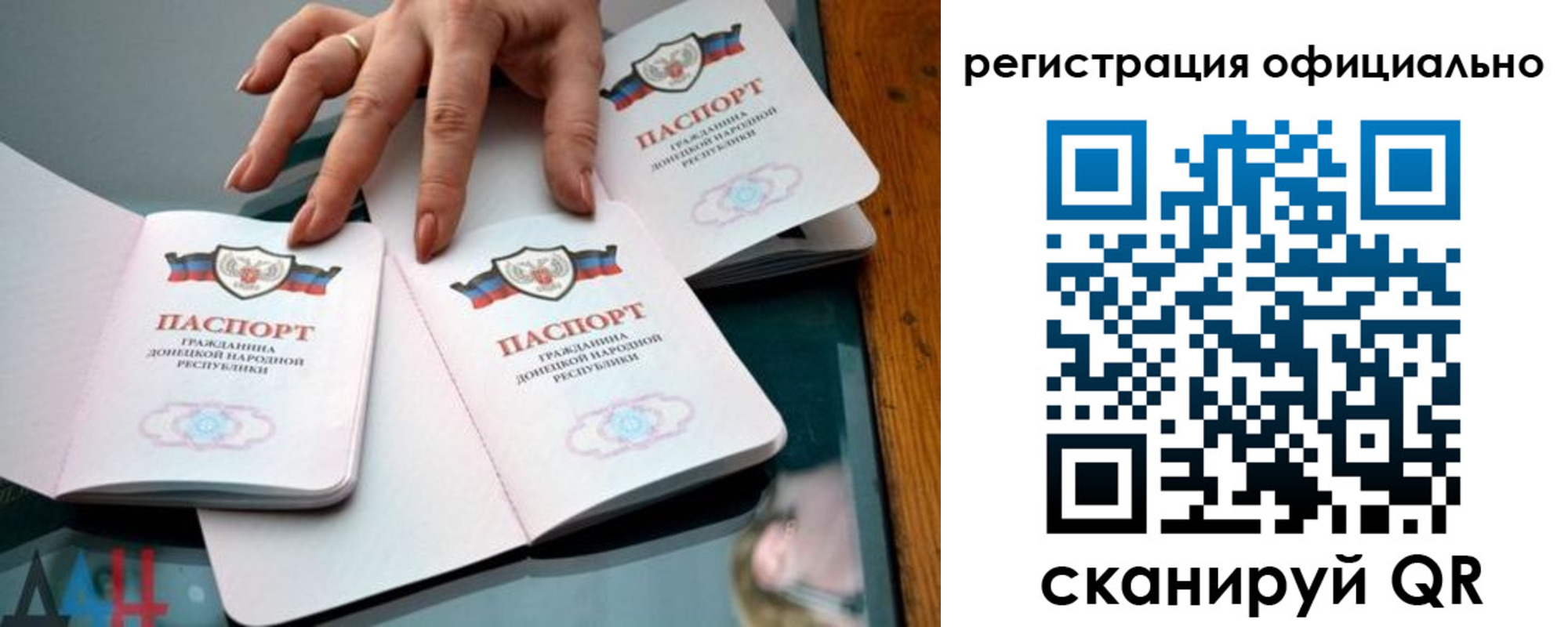 временная регистрация поиск в Амурской области
